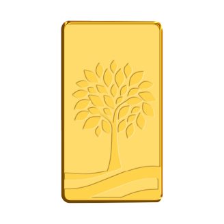 20 Gram Gold bar
